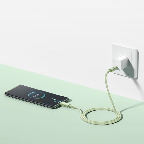 Кабель Baseus Habitat Series Fast Charging Cable Type-C to Type-C 100W 1m Natural Green (P10360202631-00) 56939 фото
